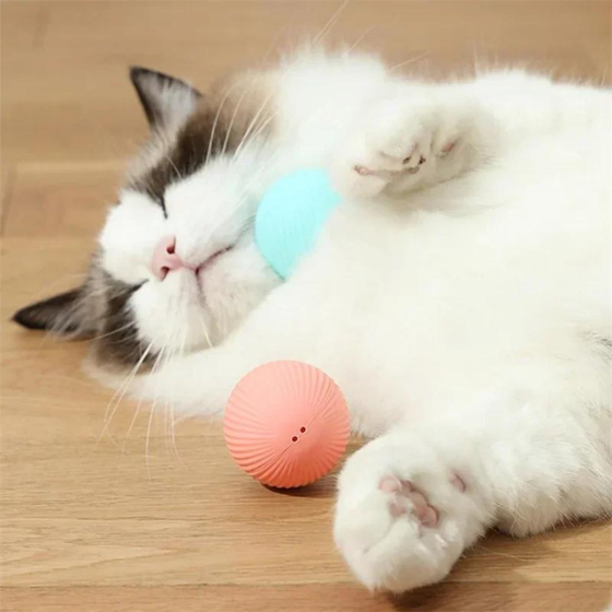 Brinquedo Bola Maluca para gatos