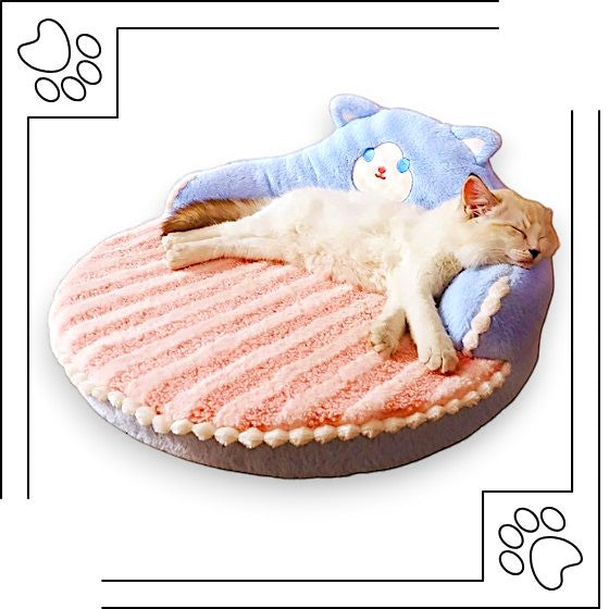 Cama Sofá Bichon
