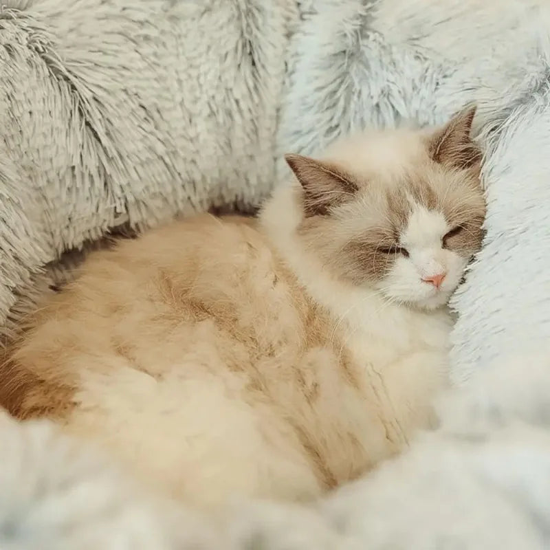 Túnel de Pelúcia Para Gatos