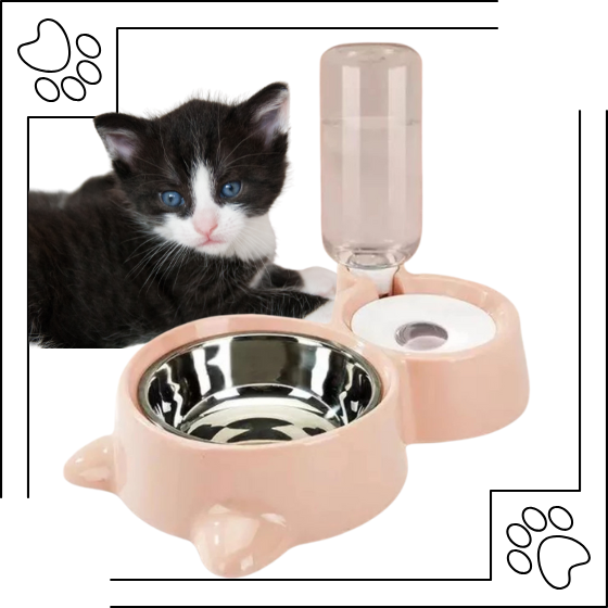 Bebedouro 2x1 Automático para cães , gatos e filhotes Raças Pequenas