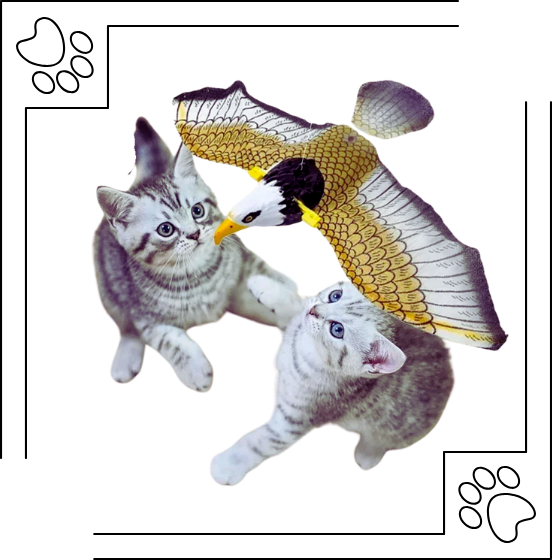 Brinquedo Pássaro Elétrico Suspenso para Gatos